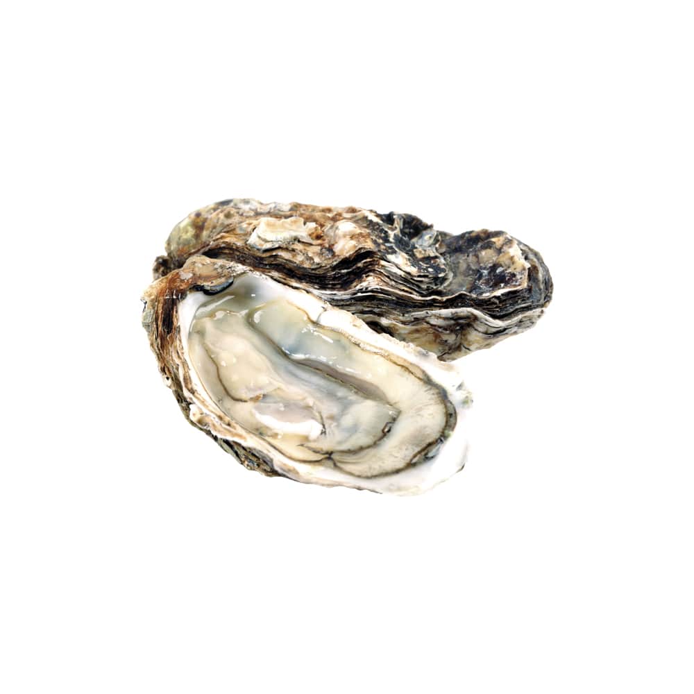 Moondancer Oysters